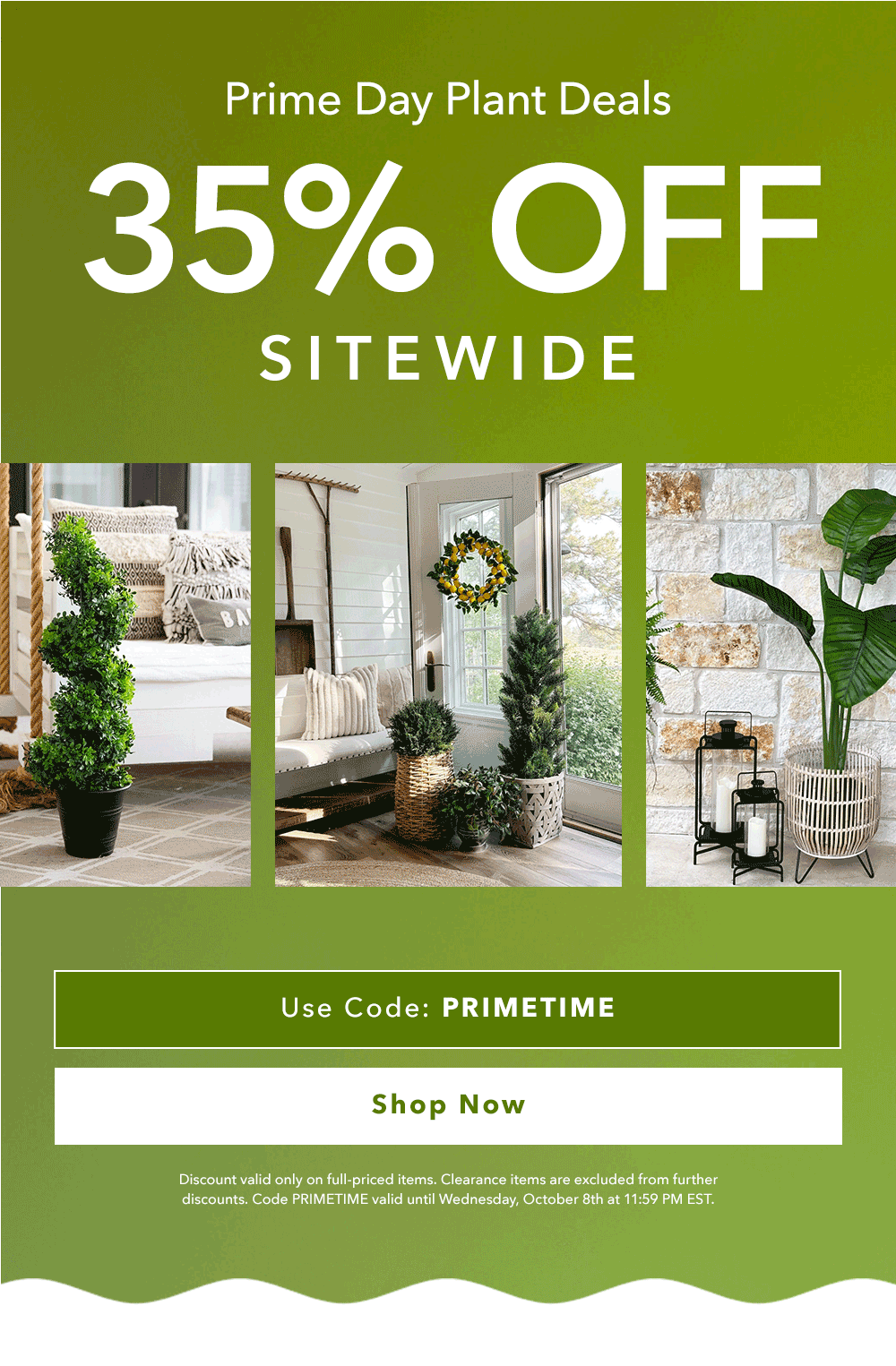 Prime Day Plant Deals - 35% OFF SITEWIDE