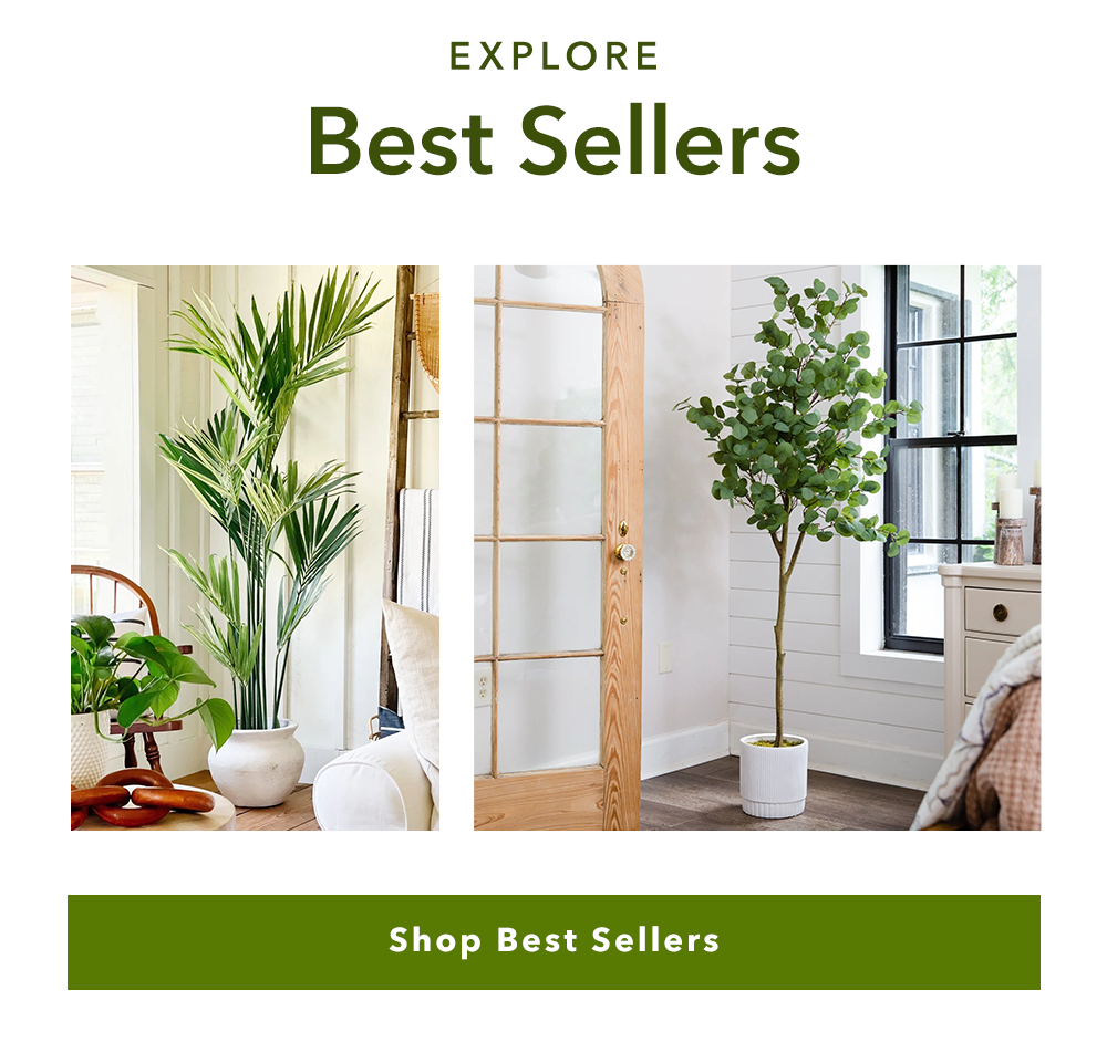 Explore Best Sellers - Shop Best Sellers