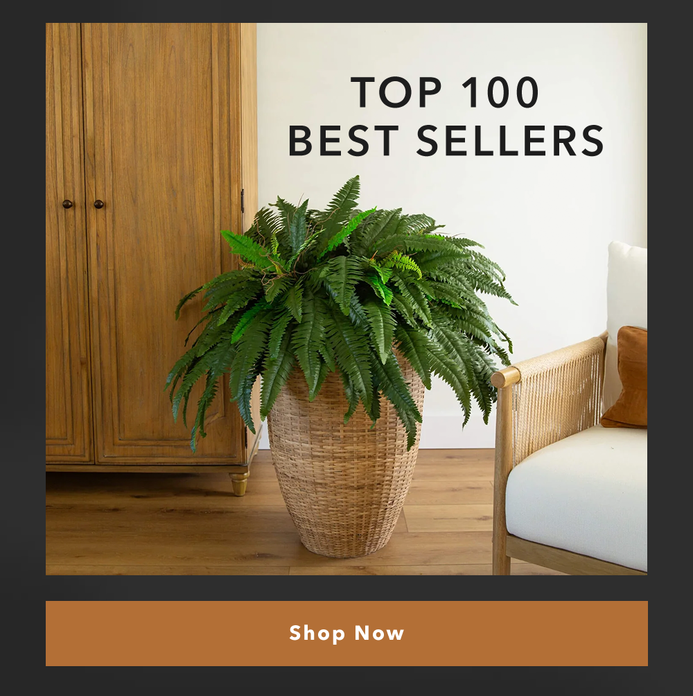 Top 100 Best Sellers | Shop Now
