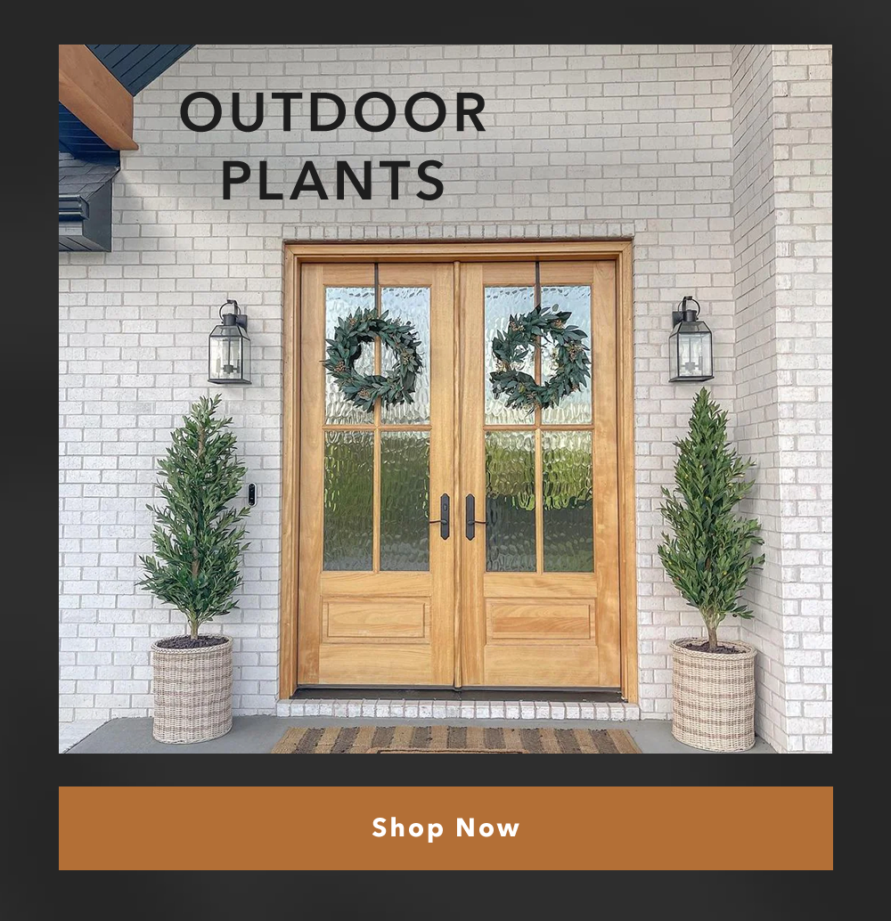 Outdoor Plants | Shop Now
