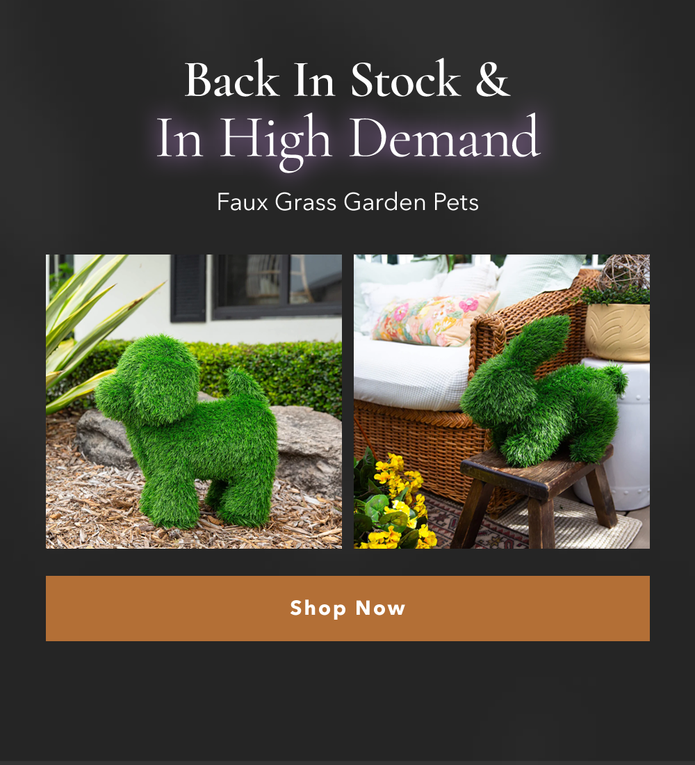 Back In Stock & In High Demand | Shop Now