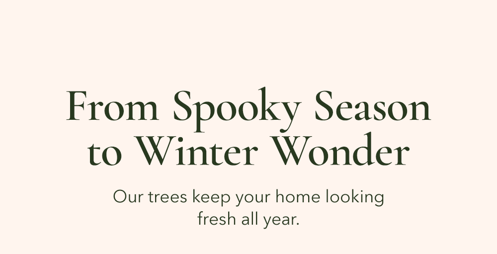 From Spooky Season to Winter Wonder - Our trees keep your home looking fresh all year