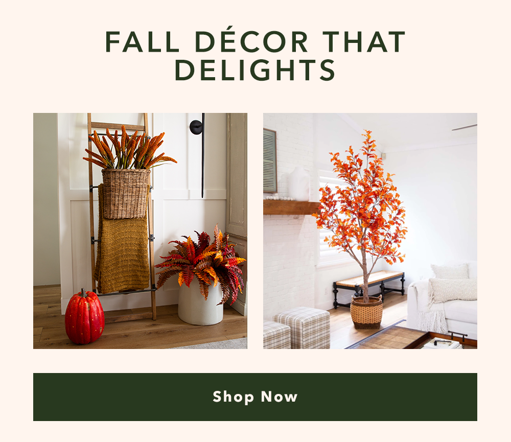 Fall Décor That Delights - Shop Now