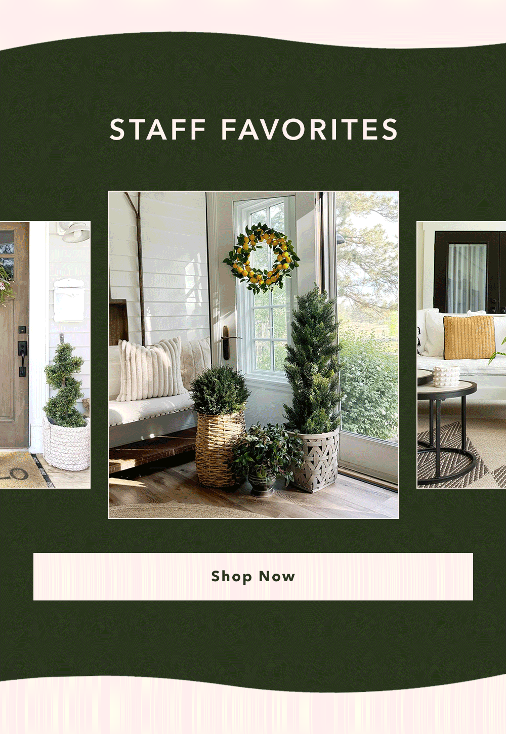Staff Favorites - Shop Now
