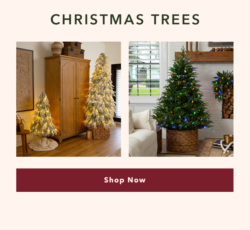 Christmas Trees - Shop Now