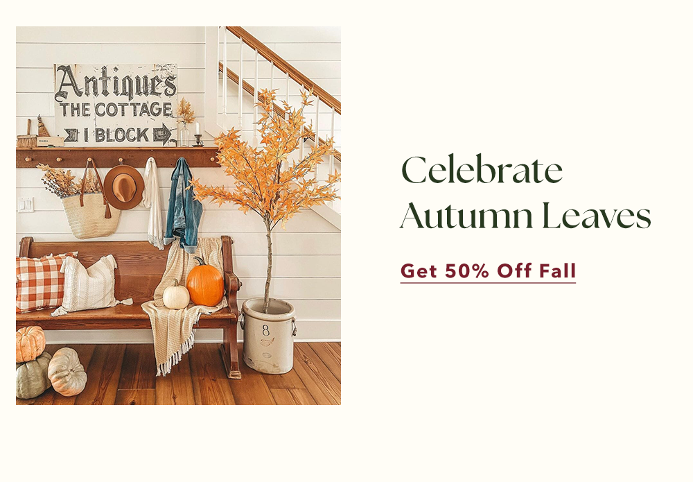 Celebrate Autumn Leaves - Get 50% Off Fall