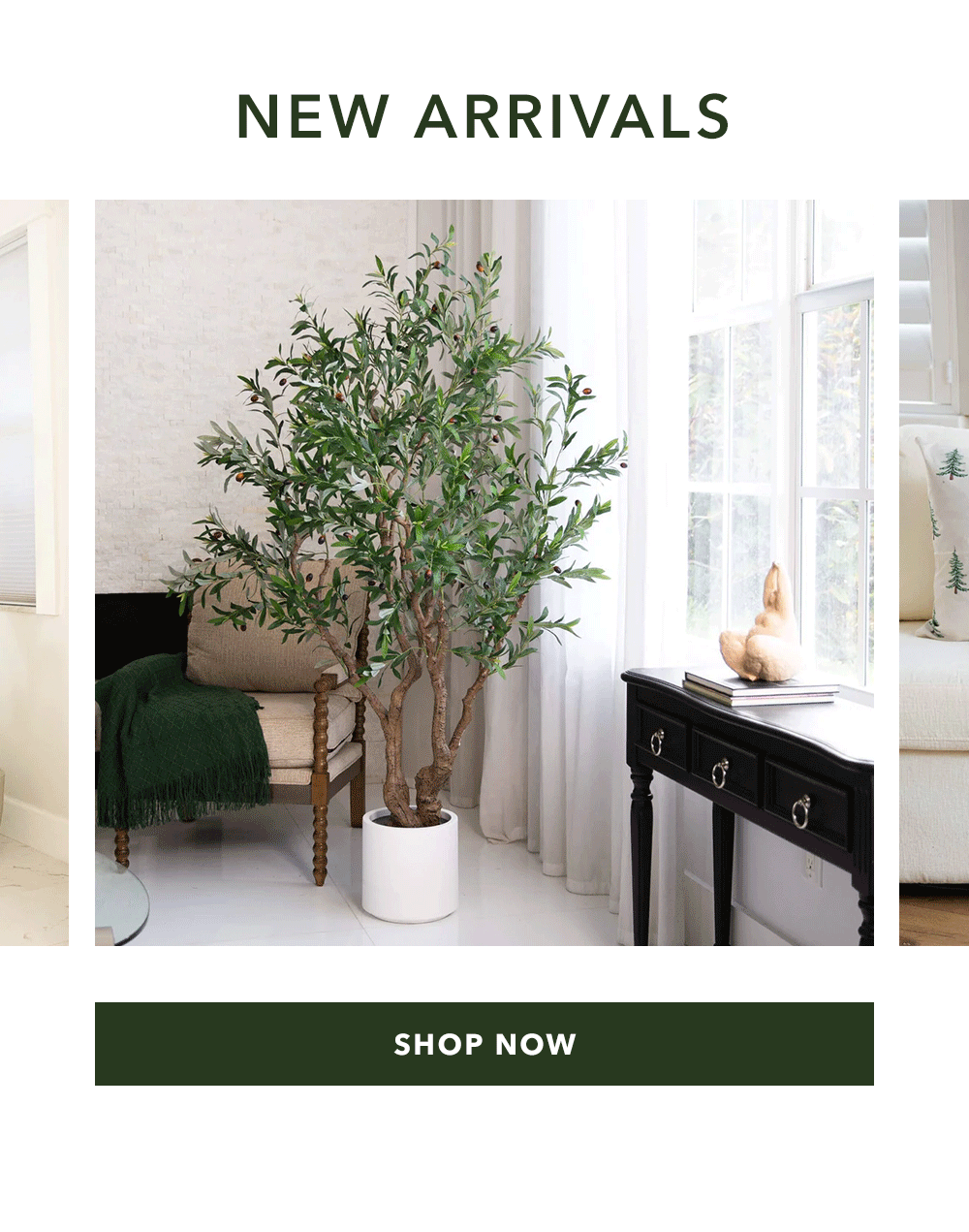 Shop New Arrivals