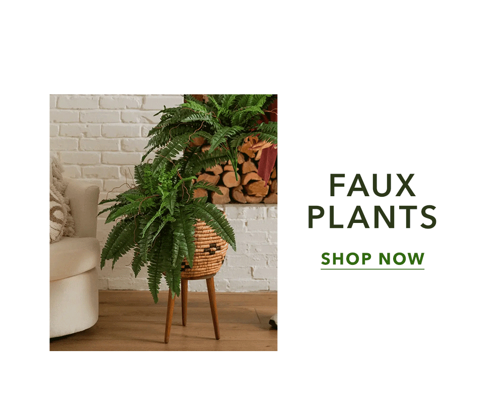 Faux Plants - Shop Now