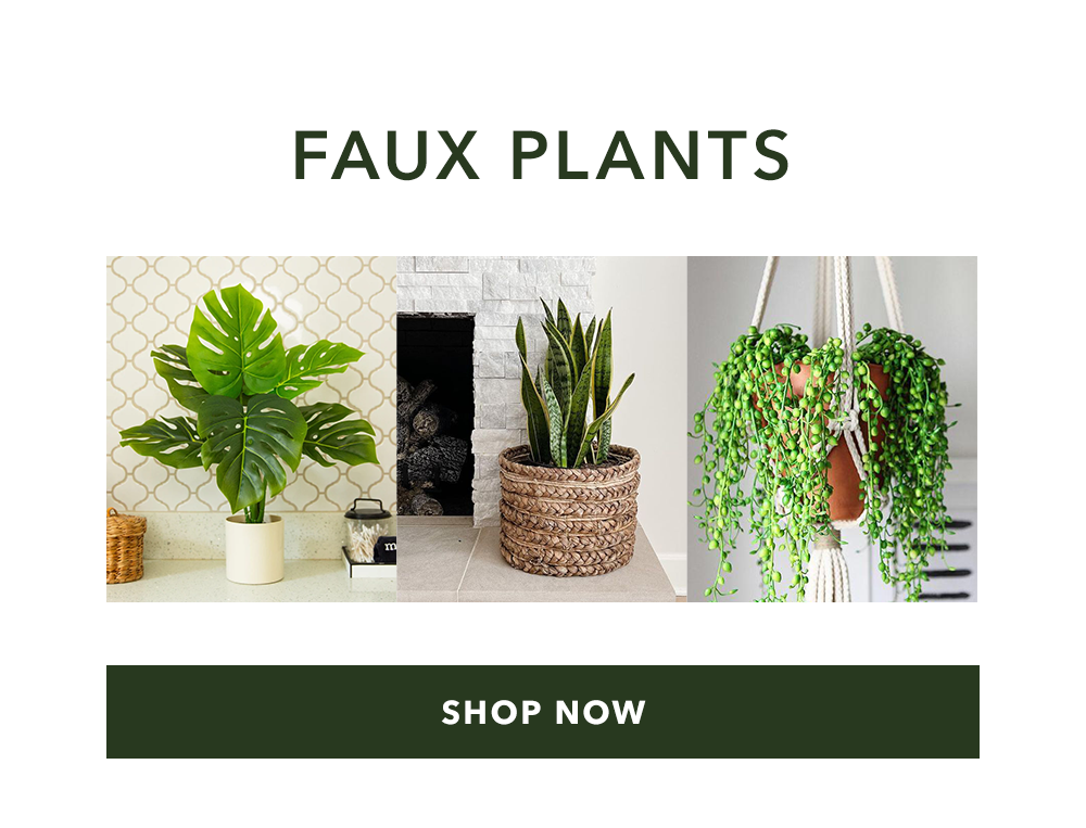 Faux Plants - Shop Now