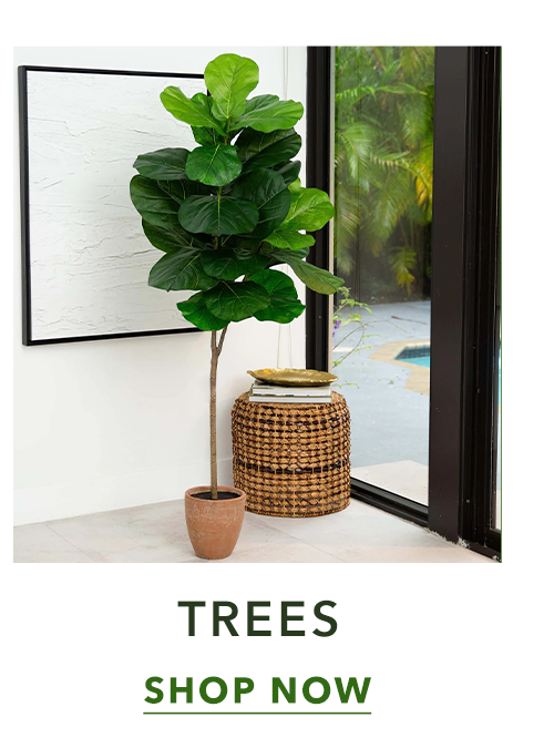 Trees