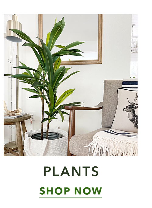 Plants