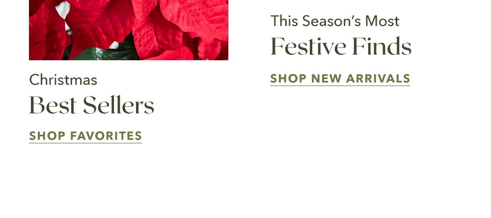 Christmas Best Sellers - Shop Favorites
