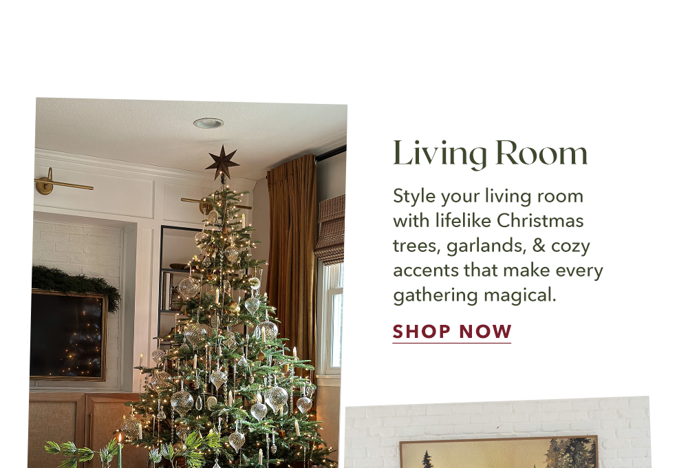 Living Room - Shop Now