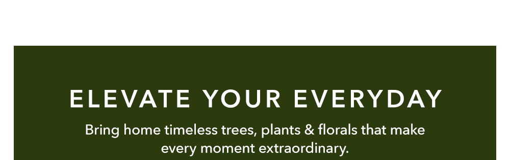 Elevate Your Everyday | Bring home timeless trees, plants & florals that make every moment extraordinary.
