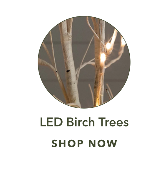 LED  Birch Trees | Shop Now