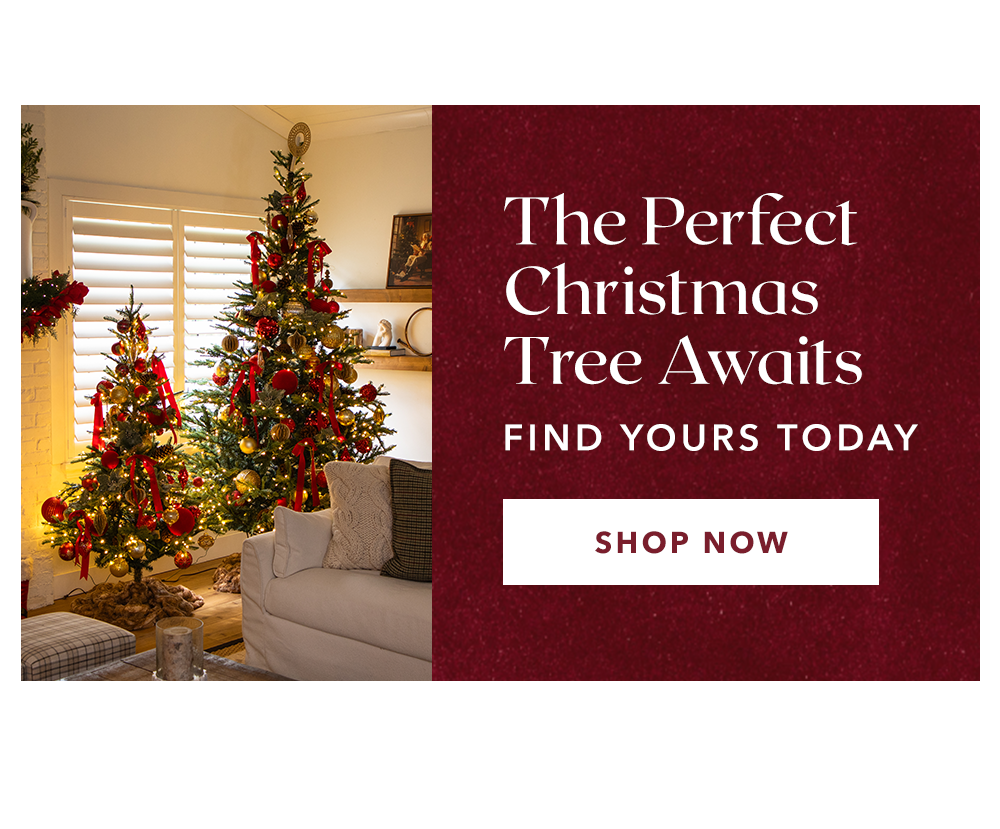 The Perfect Christmas Tree Awaits | Find Yours Today - SHOP NOW