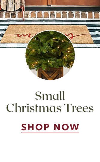 Small Christmas Trees - SHOP NOW