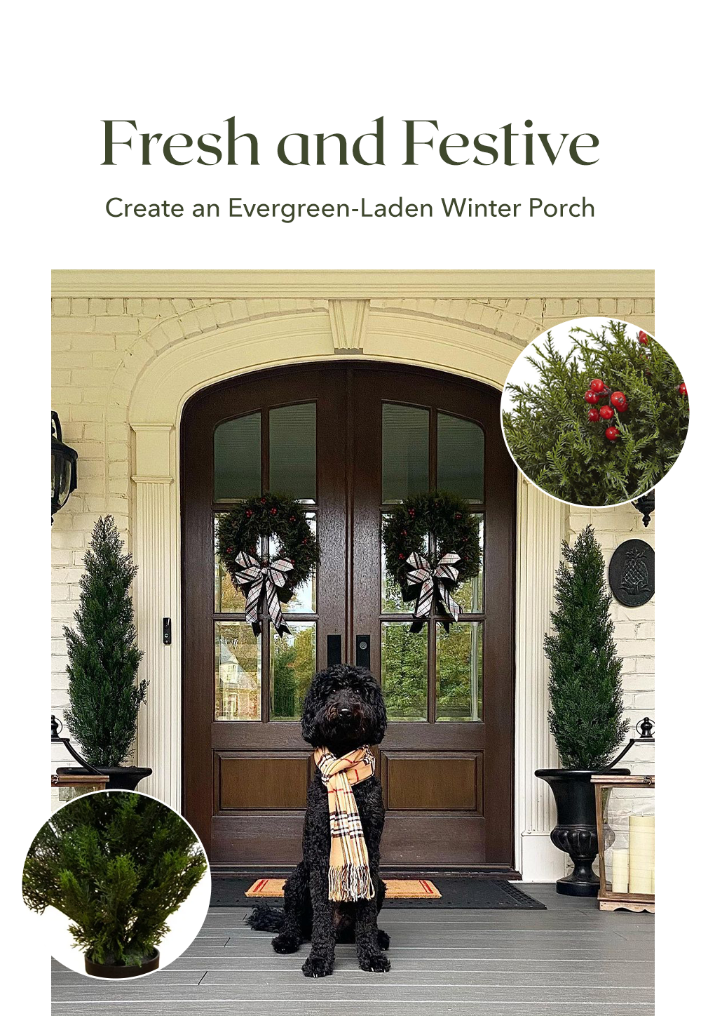 Fresh and Festive | Create an Evergreen-Laden Winter Porch