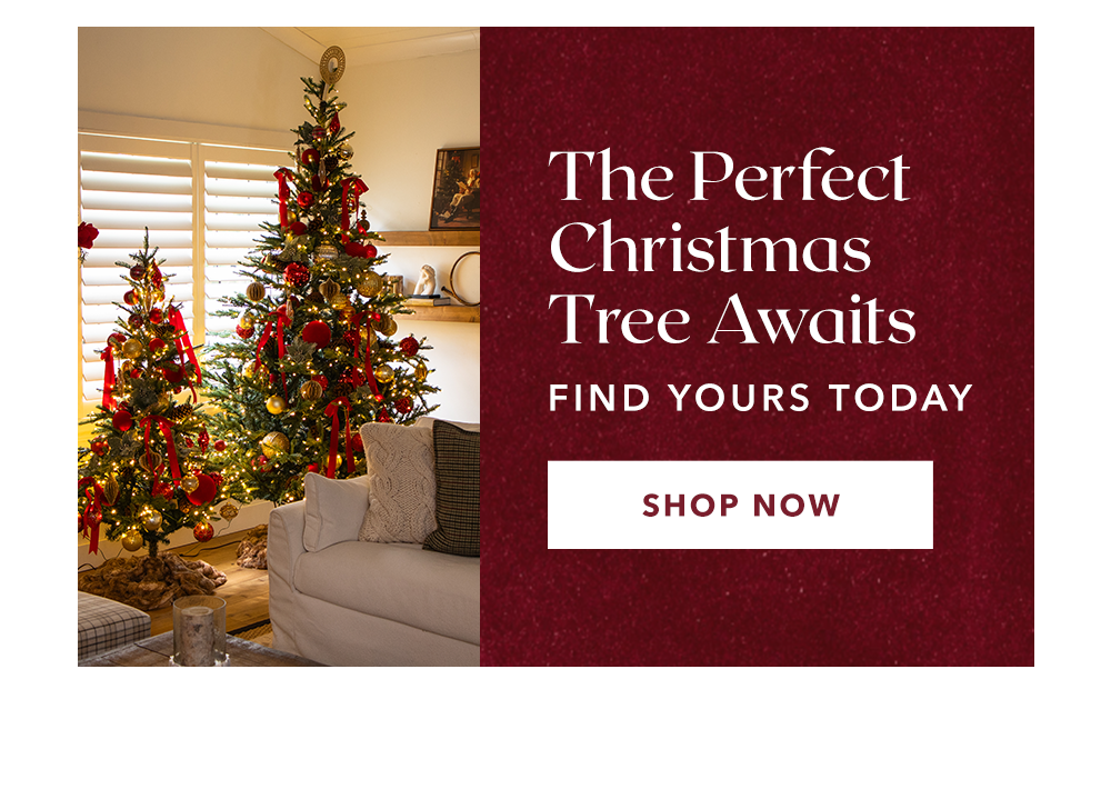 The Perfect Christmas Tree Awaits | Find Yours Today - SHOP NOW