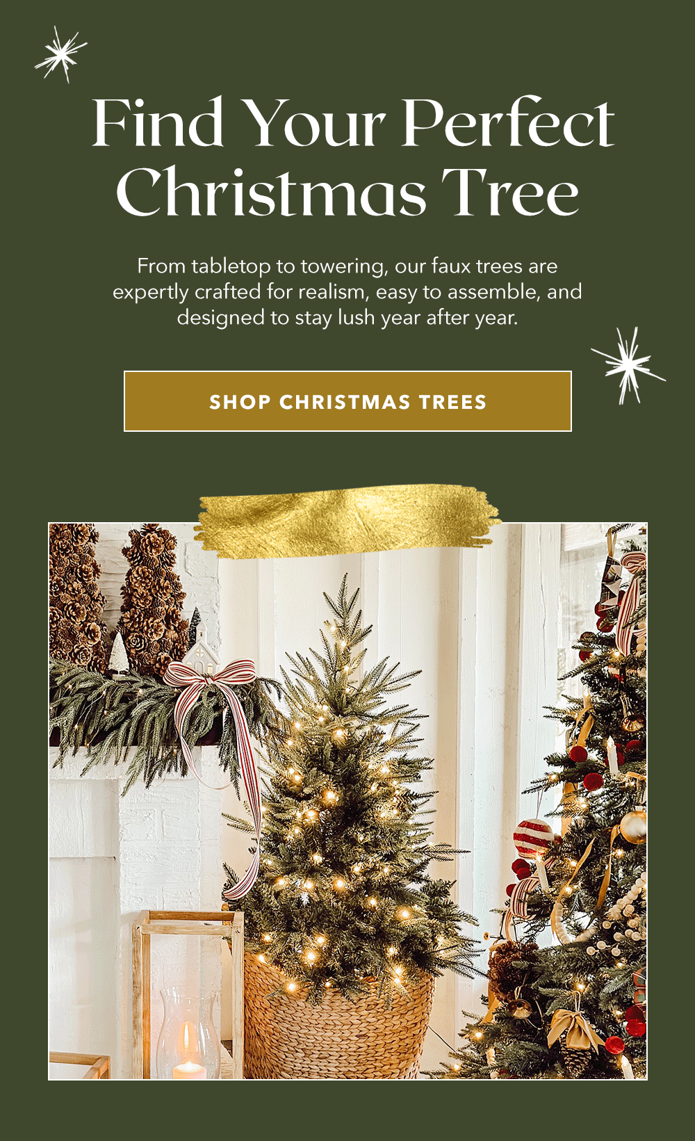 Find Your Perfect Christmas Tree