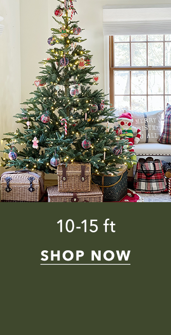 10-15 ft