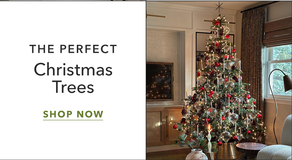 The Perfect Christmas Trees - Shop Now