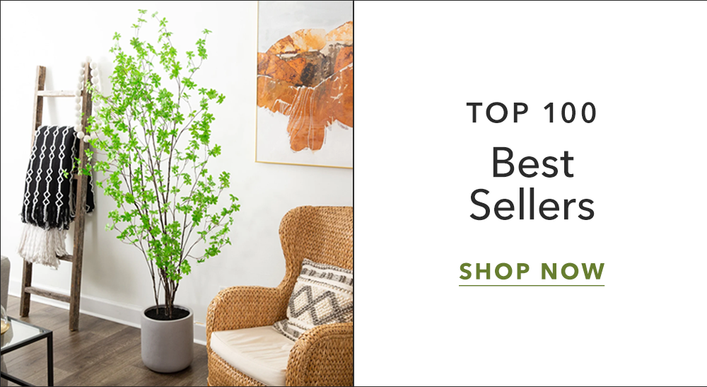 Top 100 Best Sellers - Shop Now