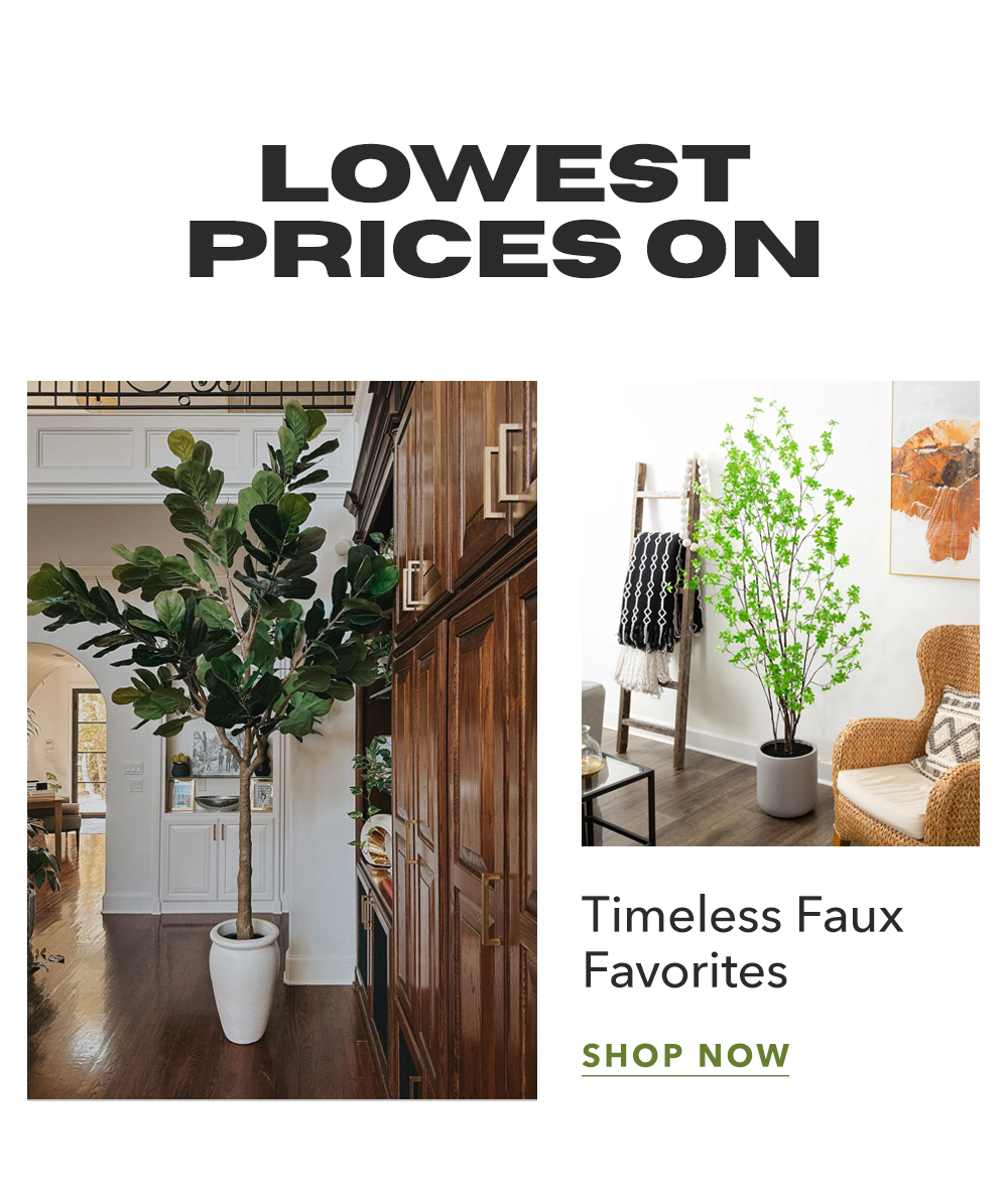 Lowest Prices On | Timeless Faux Favorites - Shop Now