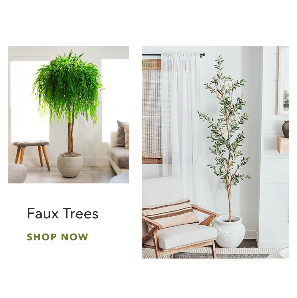 Faux Trees - Shop Now