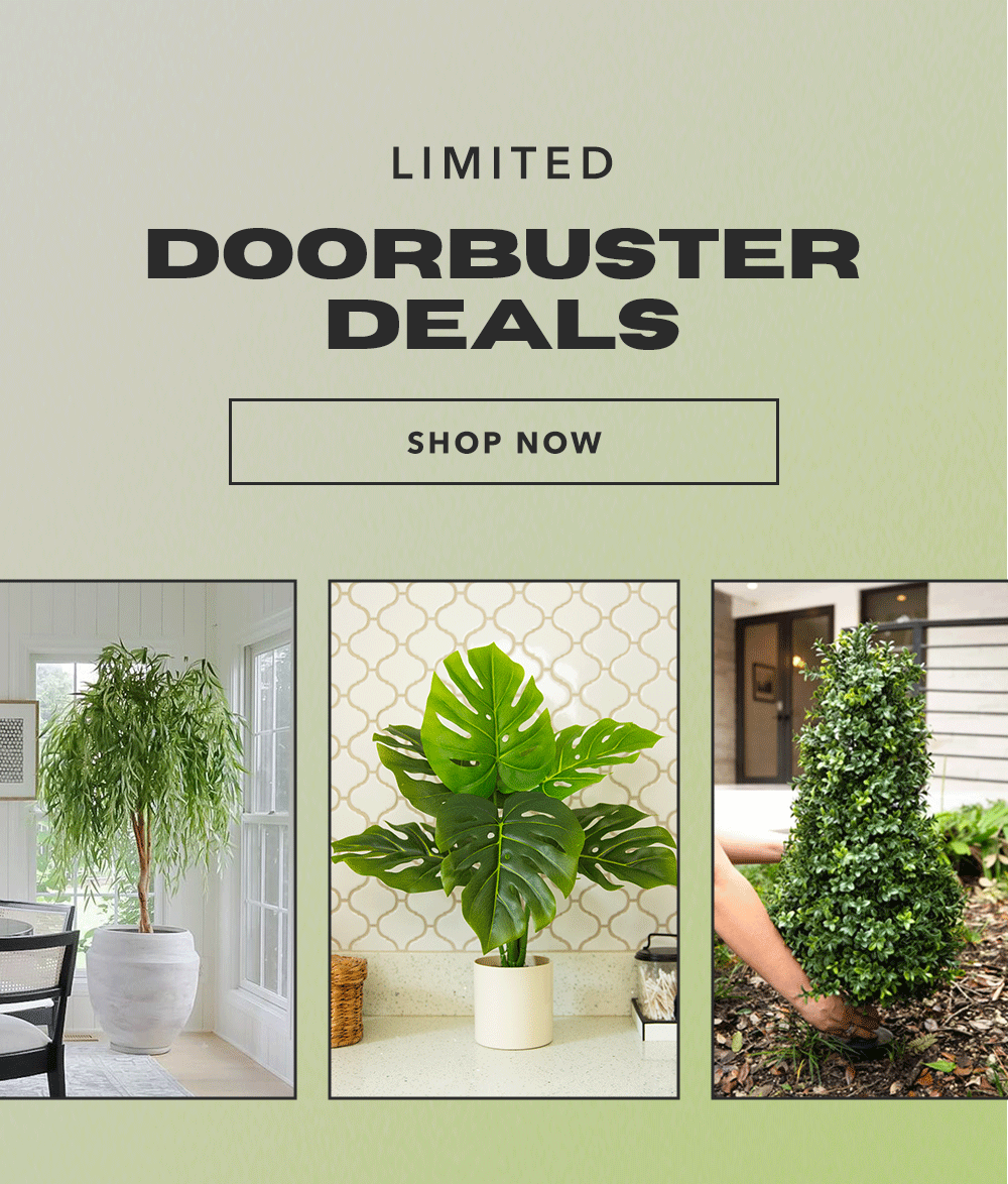 Doorbuster Deals - Shop Now
