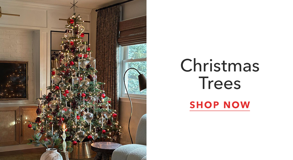 Christmas Trees Christmas Trees