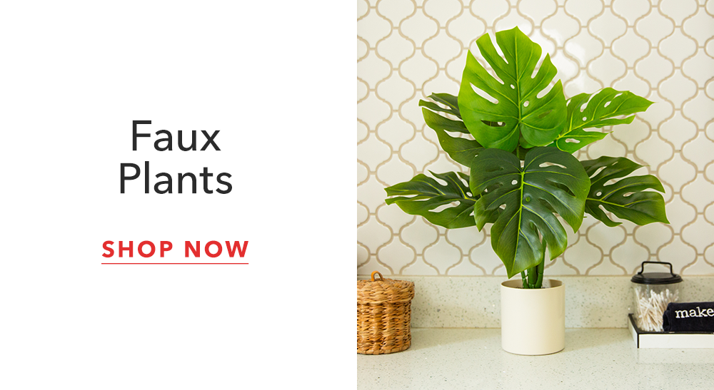 Plants Plants
