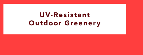 UV-Resistant Outdoor Greenery 