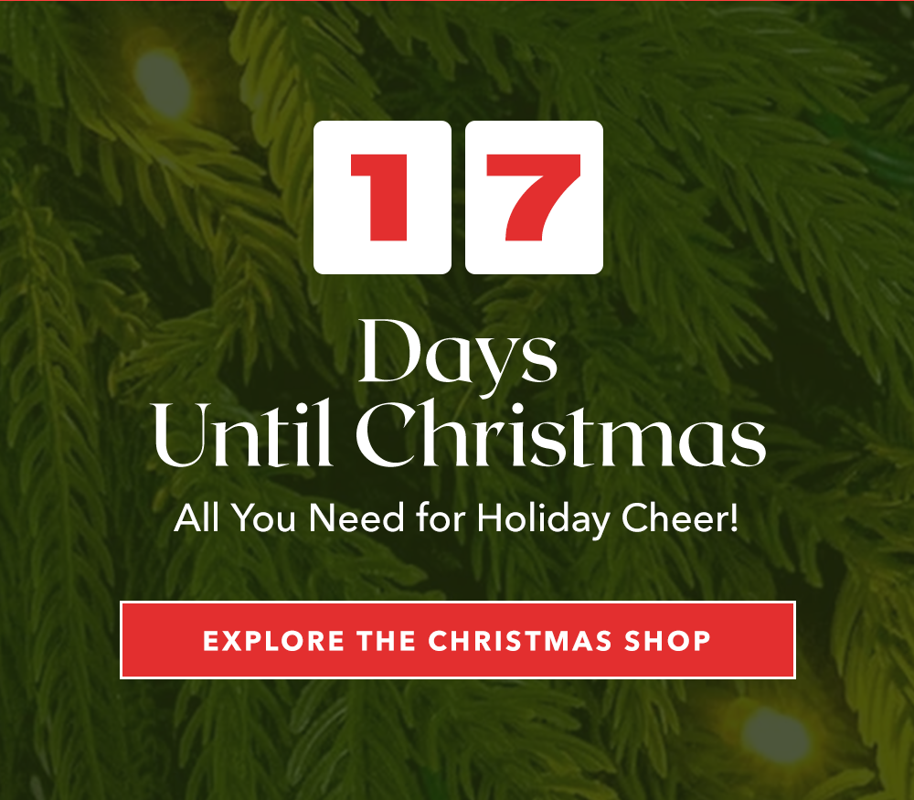 17 Days Until Christmas
