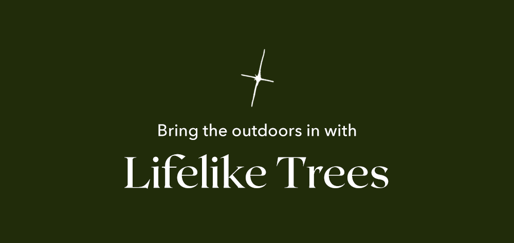  Bring the Outdoors In