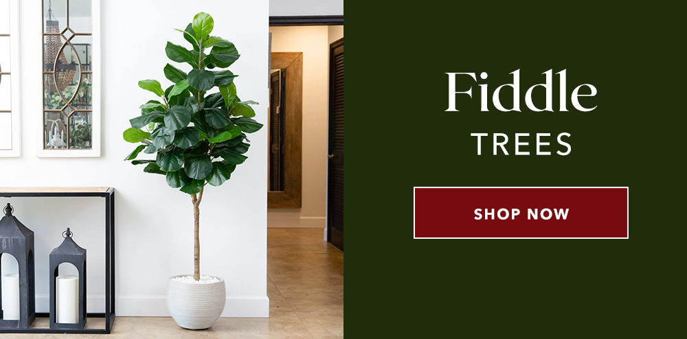 Fiddle Trees