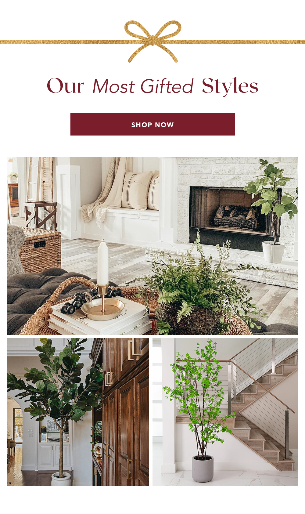Our Most Gifted Styles