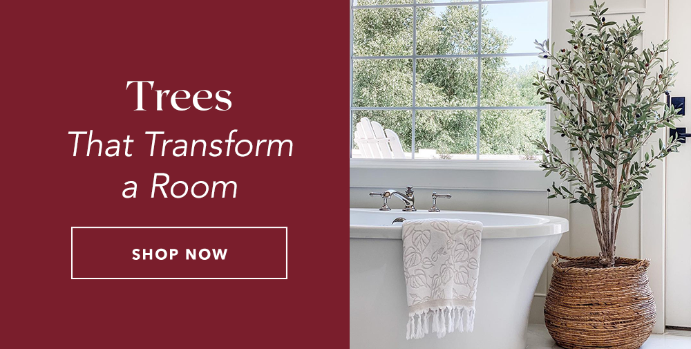 Trees That Transform a Room