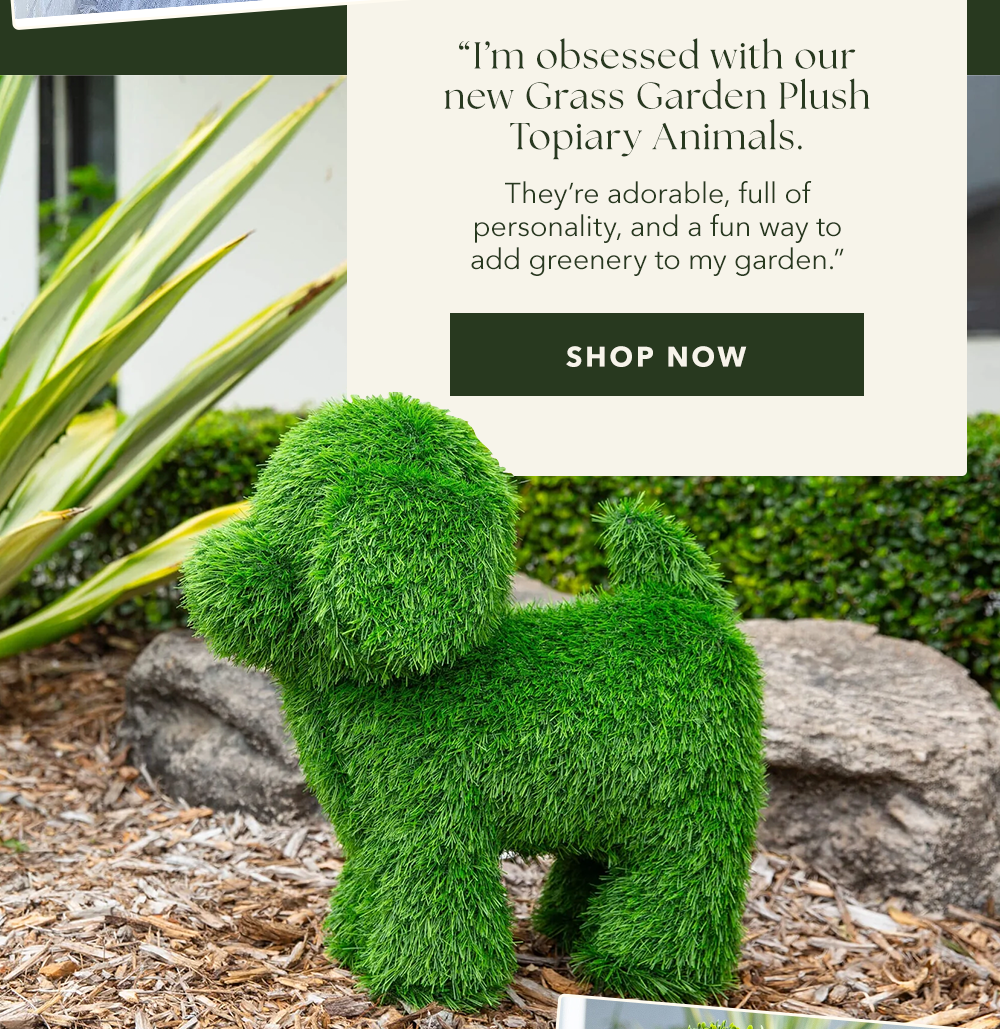 SHOP ARTIFICIAL GRASS GARDENS 
