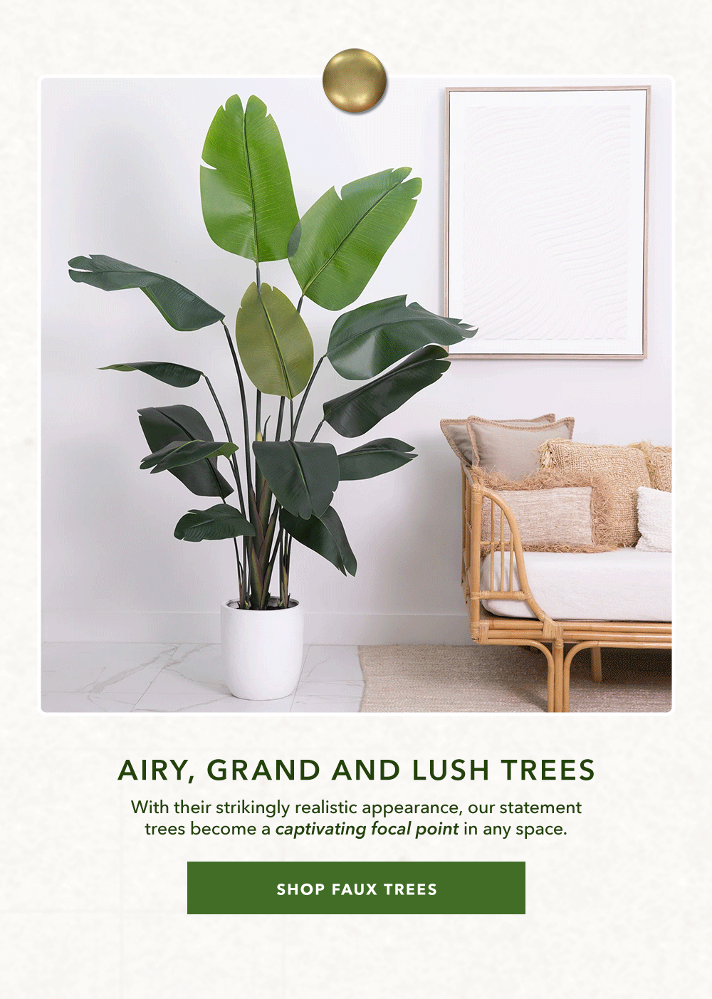 Airy, Grand and Lush Trees