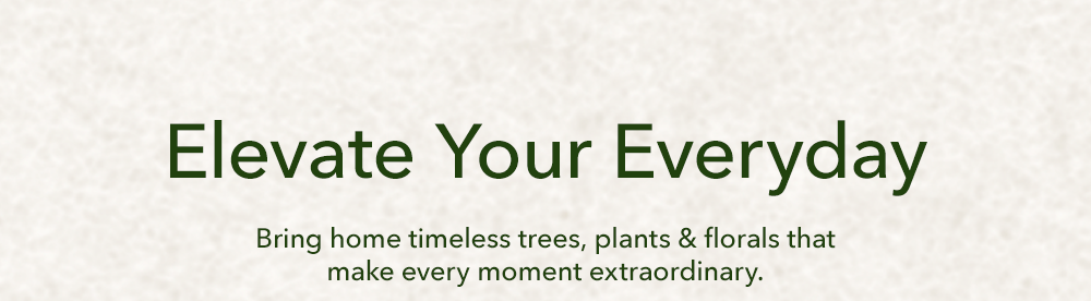Elevate your Everyday