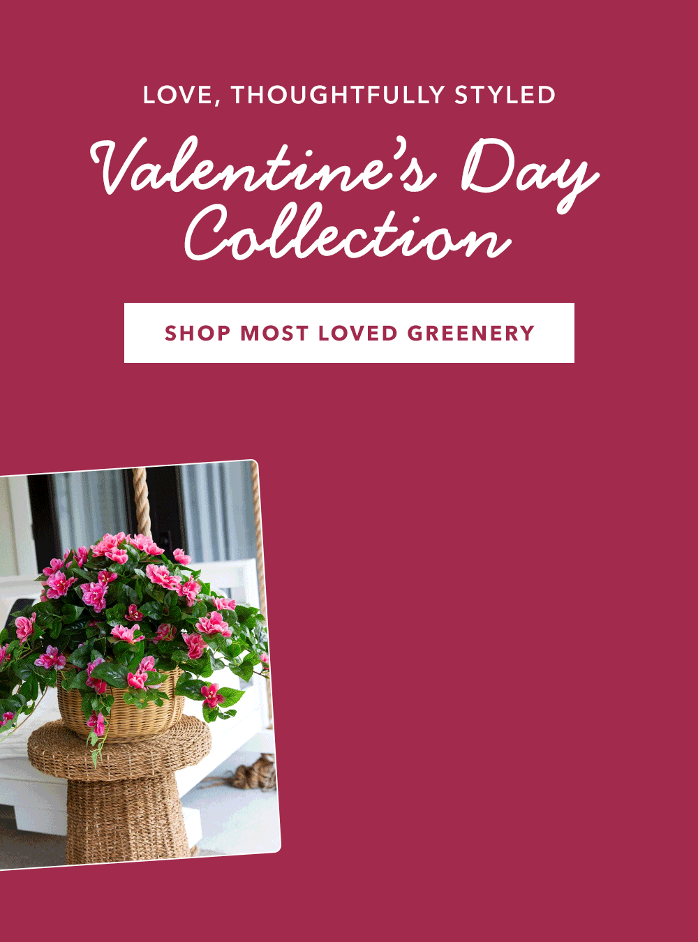 Valentine's Day Collection