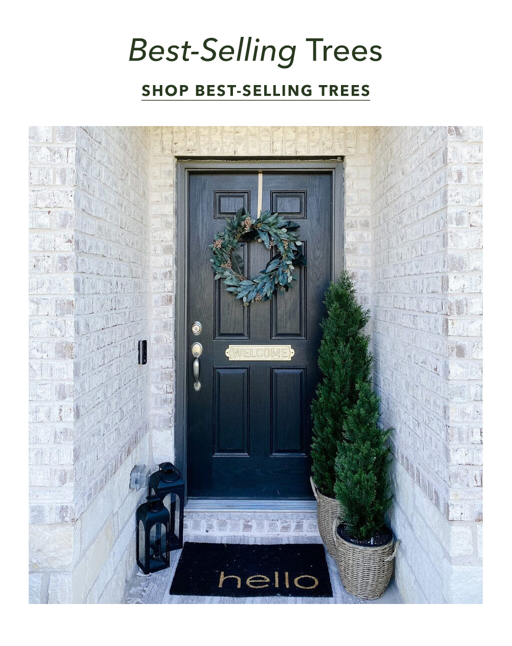 Best-Selling Trees