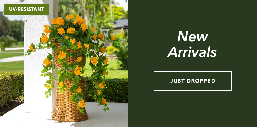 SHOP NEW ARRIVALS