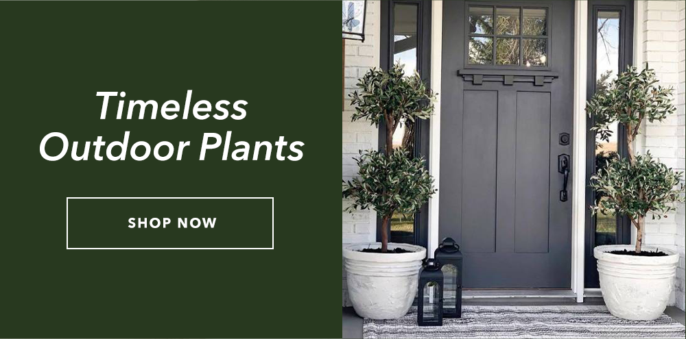 SHOP OUTDOOR PLANTS