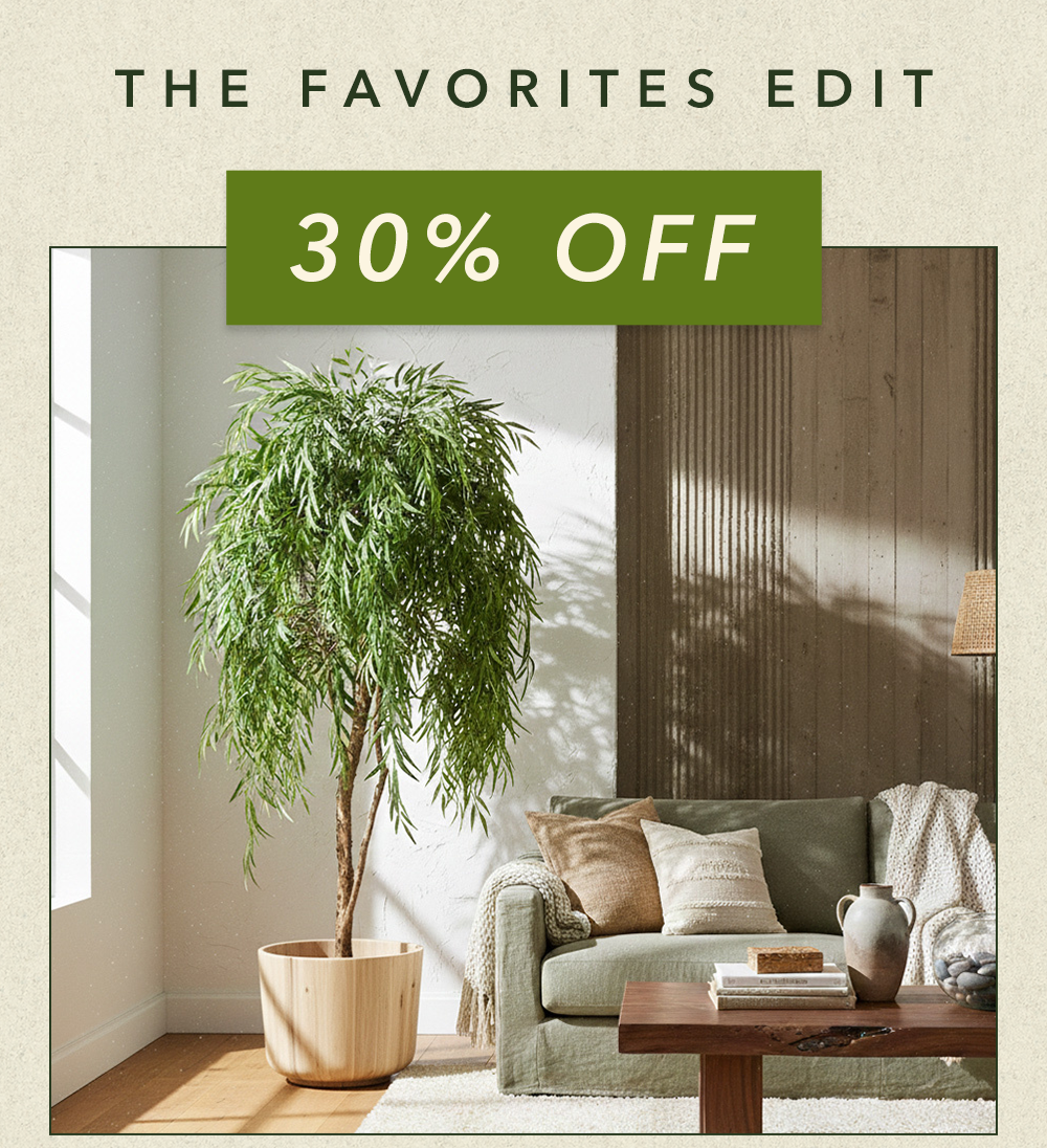 30% OFF