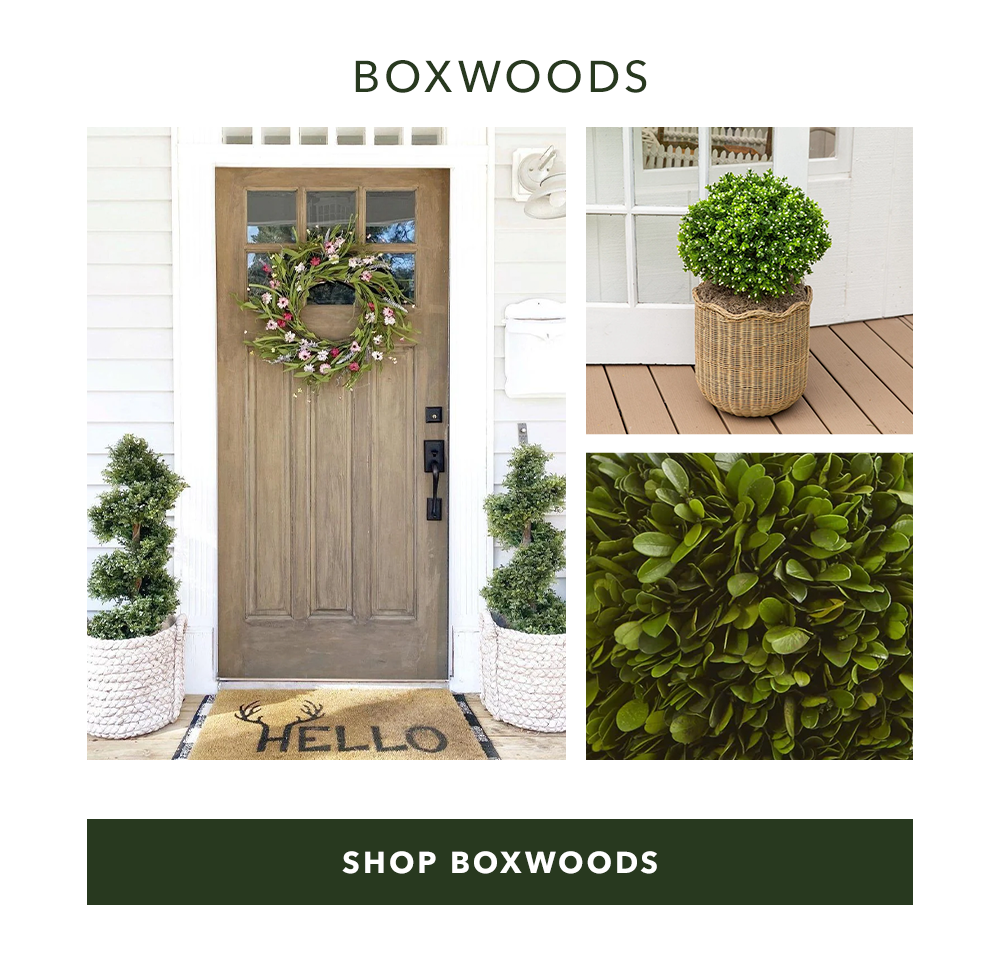 Boxwoods