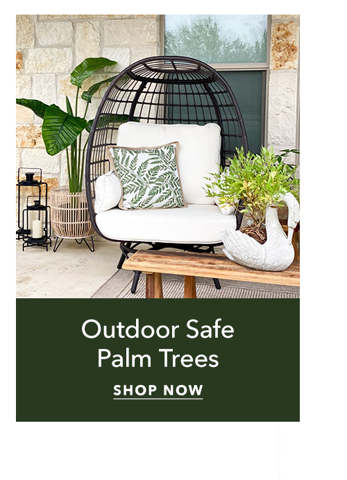 Outdoor Safe Palm Trees