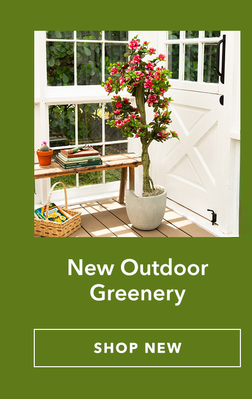 New Outdoor Greenery
