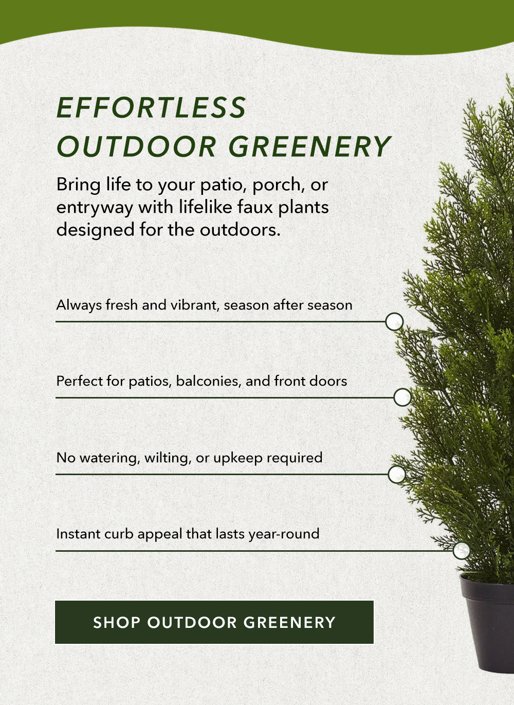 Effortless Outdoor Greenery